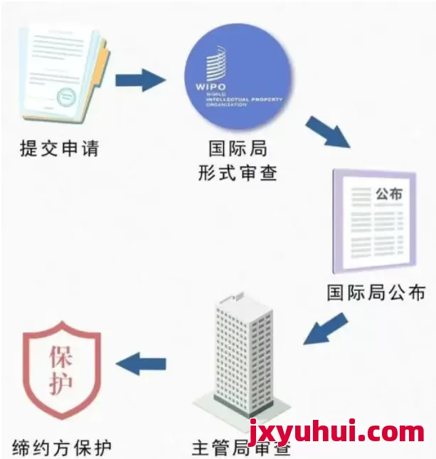 收藏!海牙體系國際外觀專利申請流程 第1張 收藏!海牙體系國際外觀專利申請流程 第1張