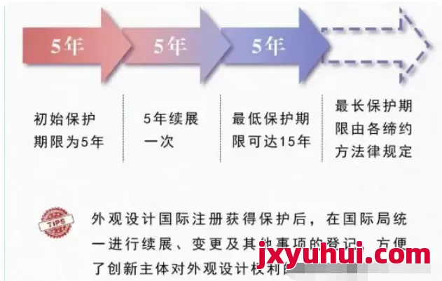 收藏!海牙體系國際外觀專利申請流程 第3張 收藏!海牙體系國際外觀專利申請流程 第3張